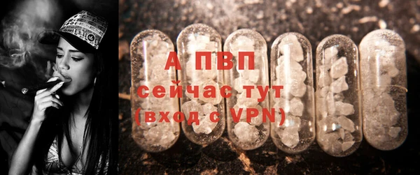 стаф Баксан