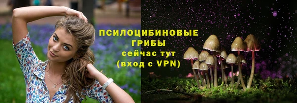 меф Армянск