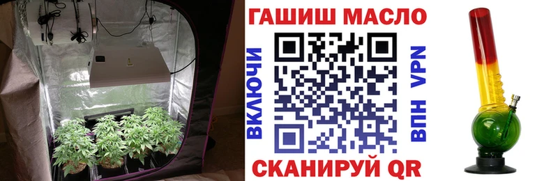 купить наркотик Судак Дистиллят ТГК концентрат